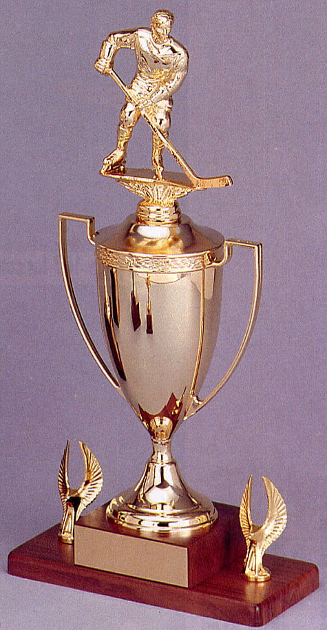 Optional Display Bases for Awards Trophies