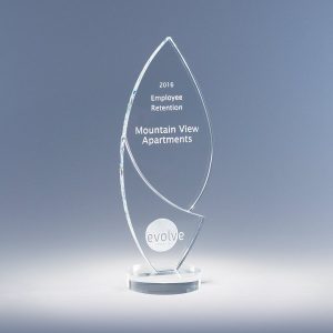 Enlighten JC5850 crystal award