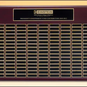 Perpetual Plaque P4500